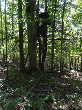 Old tree stand on the Federal Farm property in 2012. Permanent stands are not allowed.