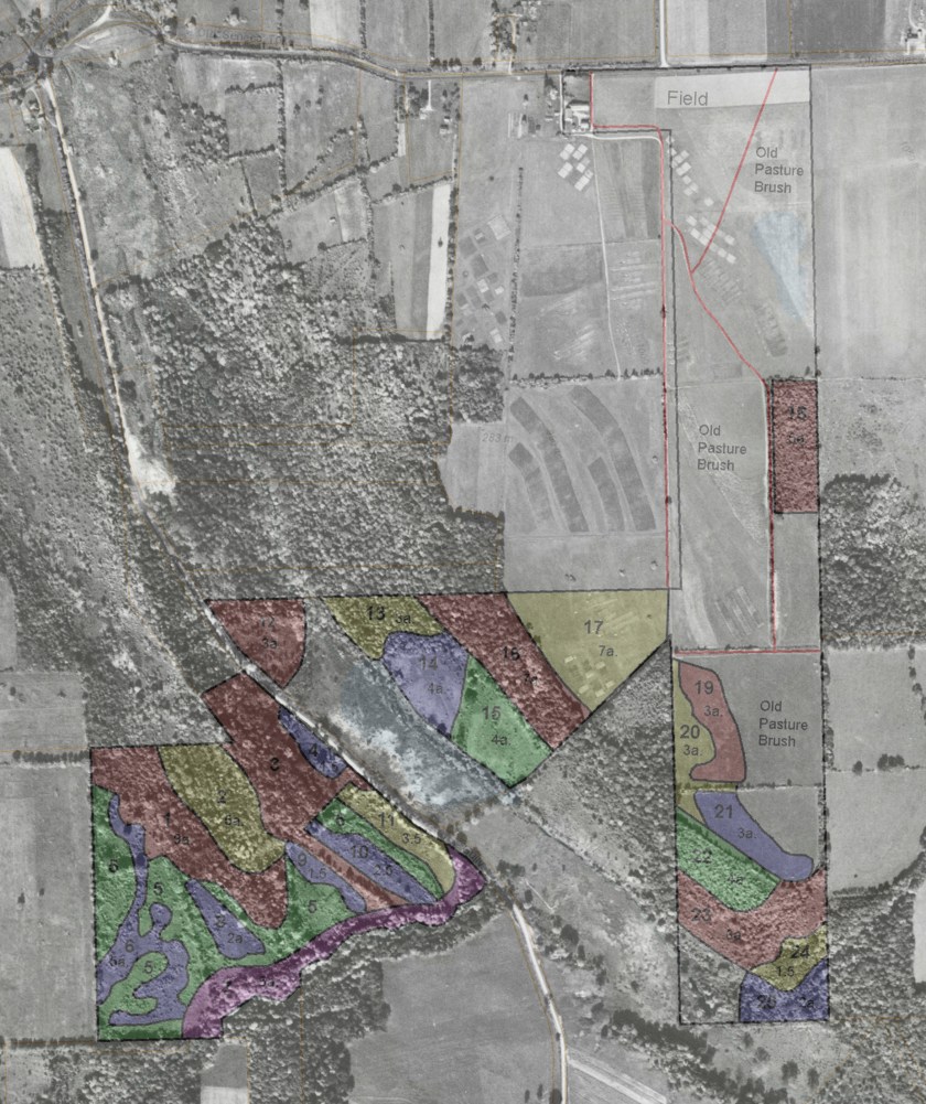2002 tree survey overlaid onto 1951 aerial photo of the Federal Farm and Gully Road area.