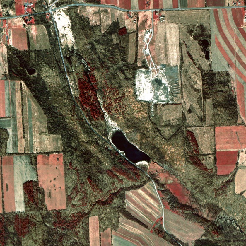 Federal Farm and Gully Road false color stellite ca 1996