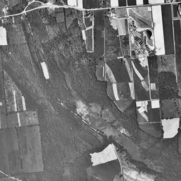 Federal Farm & Gully Road 1966 ARX_2GG_214