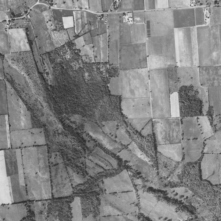 Aerial view of USDA Soil Management Research Farm and Gully Road properties, Sep. 5, 1938. Cornell University Library