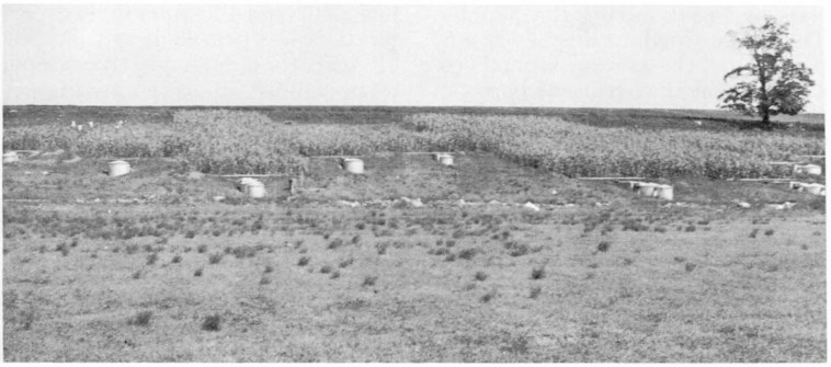 George R Free - Conservation Methods 1965 fig 4