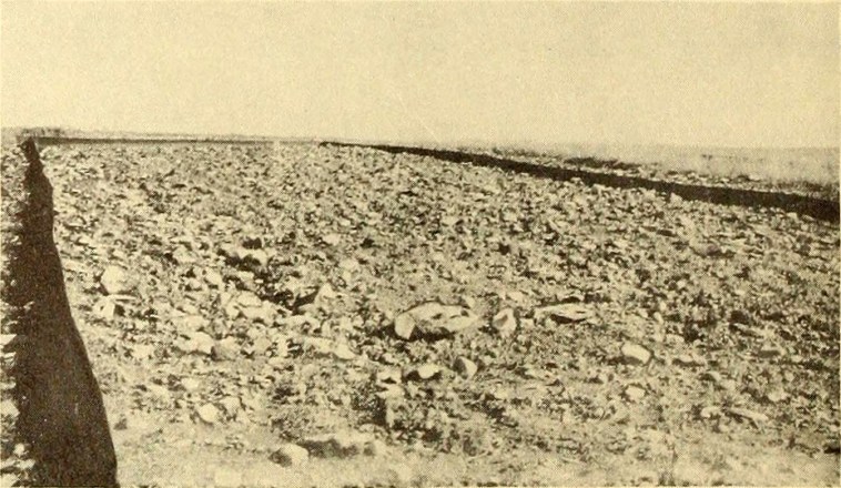 Marcellus Soil Conservation Experiment Station Farm 1943-1