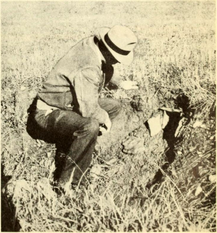 Marcellus Soil Conservation Experiment Station Farm 1943-2
