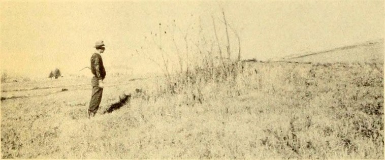 Marcellus Soil Conservation Experiment Station Farm 1943-3