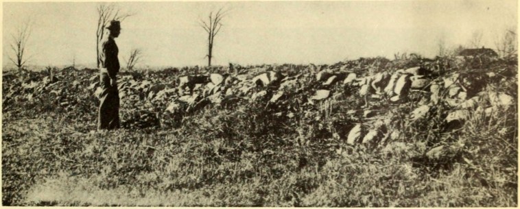 Marcellus Soil Conservation Experiment Station Farm 1943-4
