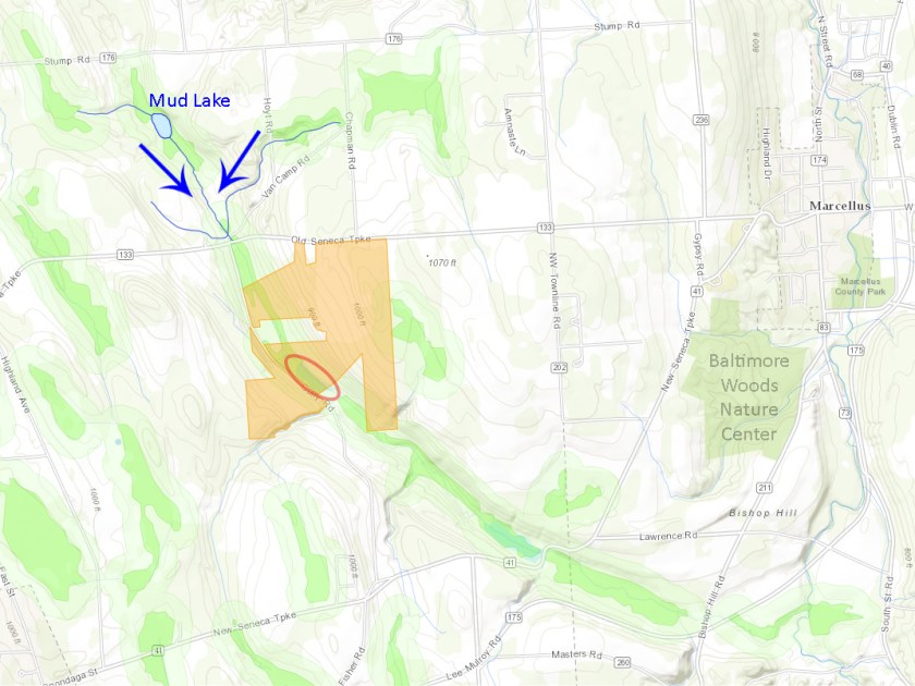 The northern sources of water that flows to the SCA wetland