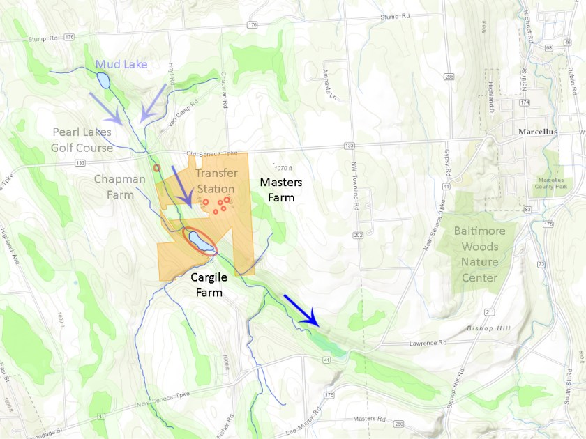 The Cargile farm shares an infestation of Phragmites with the SCA