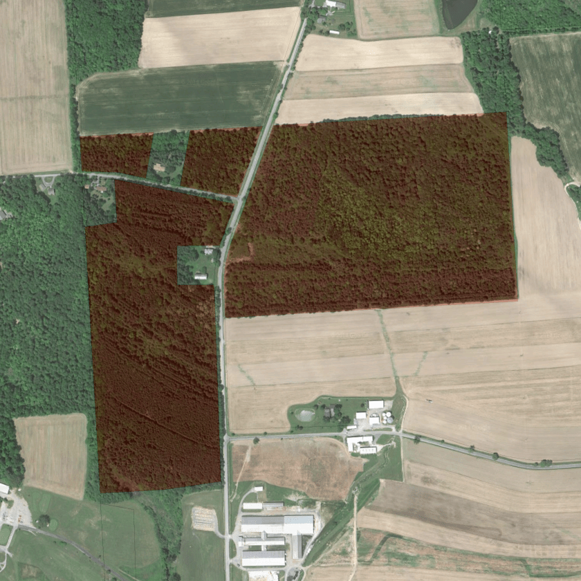 The Mabel M. Reynolds Nature Preserve satellite view (ca. 2011).