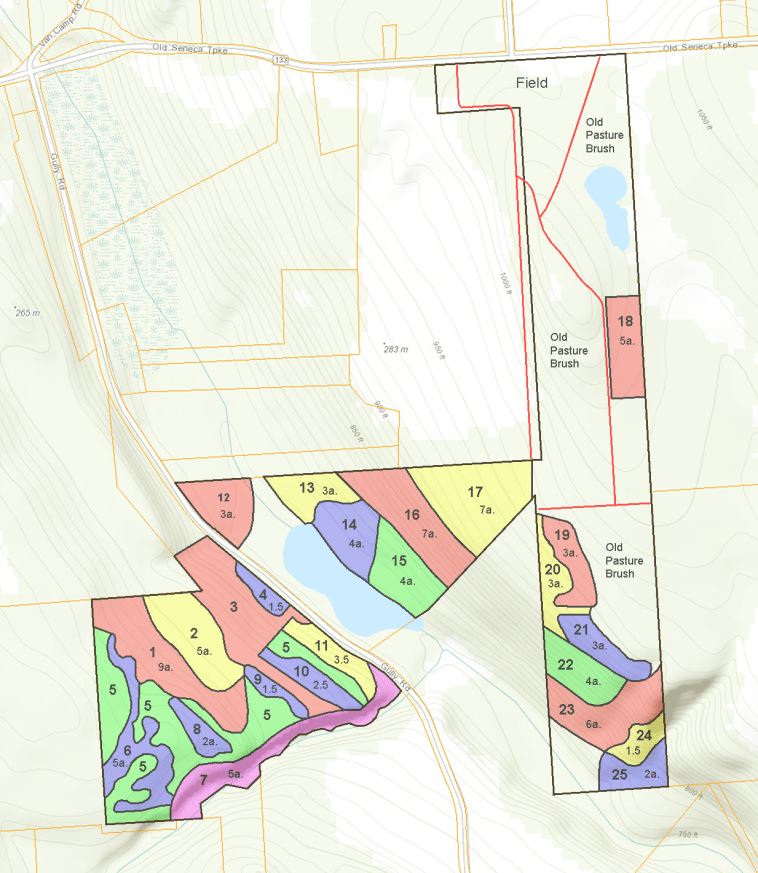 Timber stands described in the 2000 Forest Stewardship plan drawn up by DEC forester Charles K. Porter.