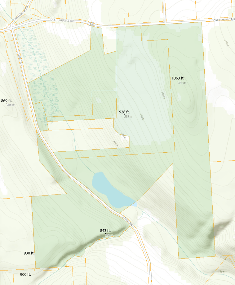 Gully Road properties with terrain and elevations shown.