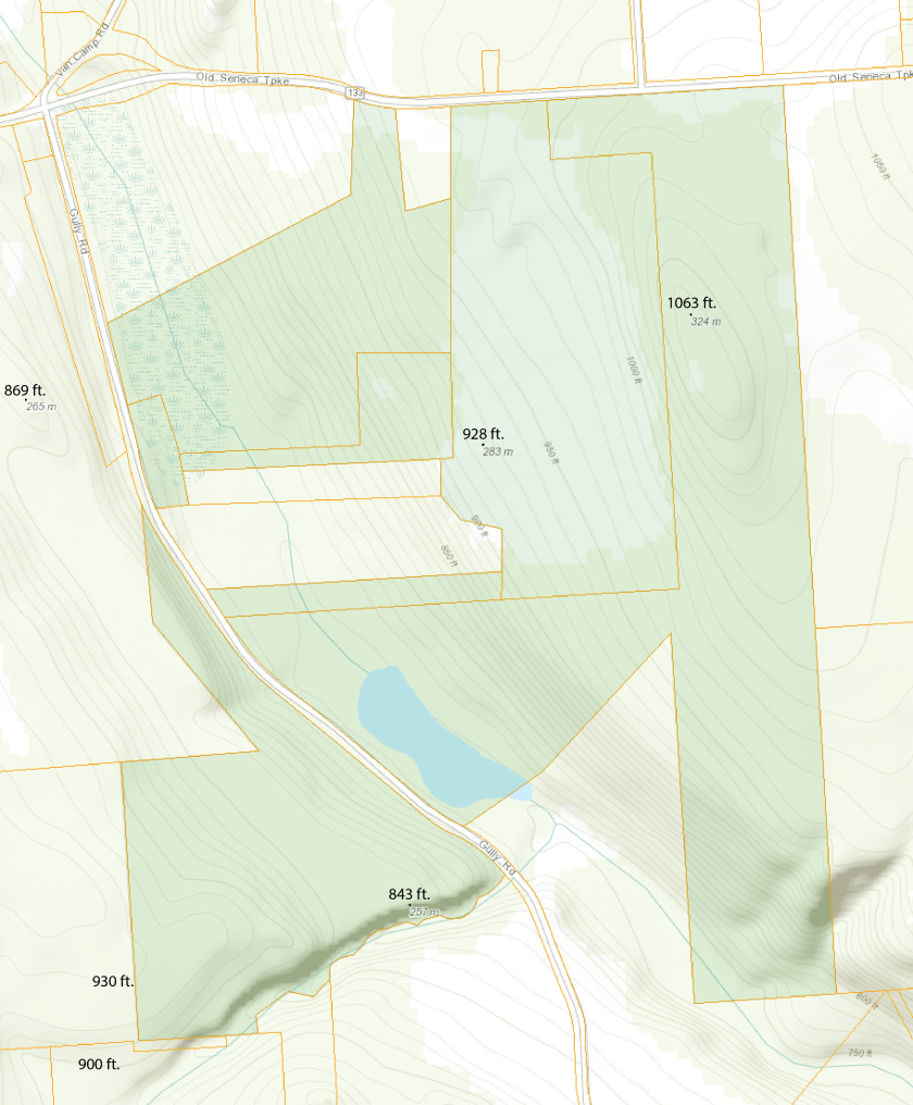 Gully Road properties with terrain and elevations shown.