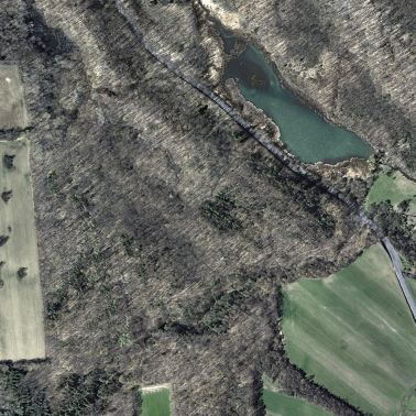 Guppy farm contour map