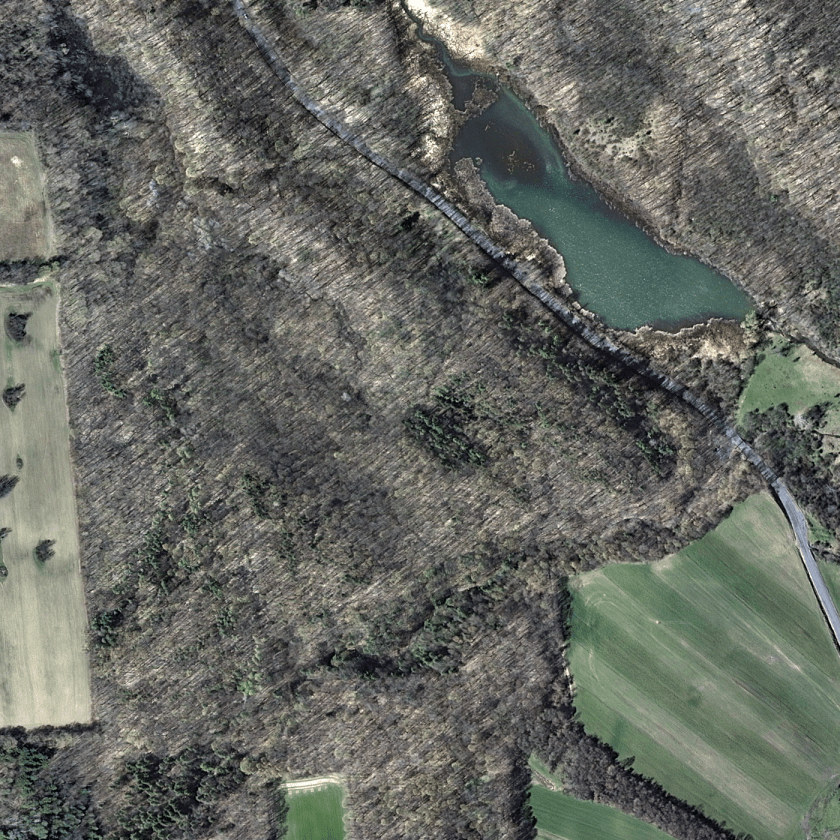 Guppy Farm 2012-04-03 USGS