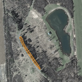 Approximate location of sugar maple planting, April 2015.