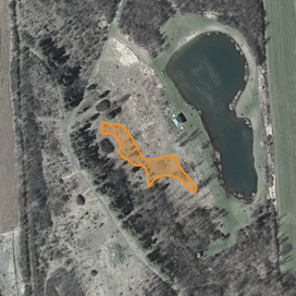 Approximate location of American chestnut planting, April 2015.