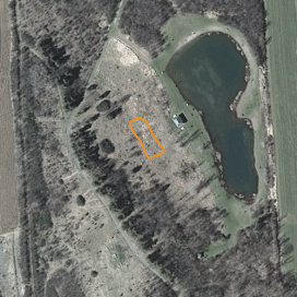 Approximate location of whitecedar planting, June 2015.