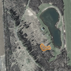 Approximate location of red oak planting, April 2015.