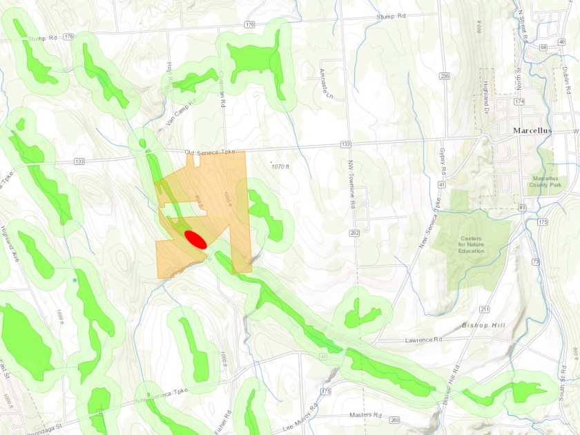 New York State DEC-designated wetlands
